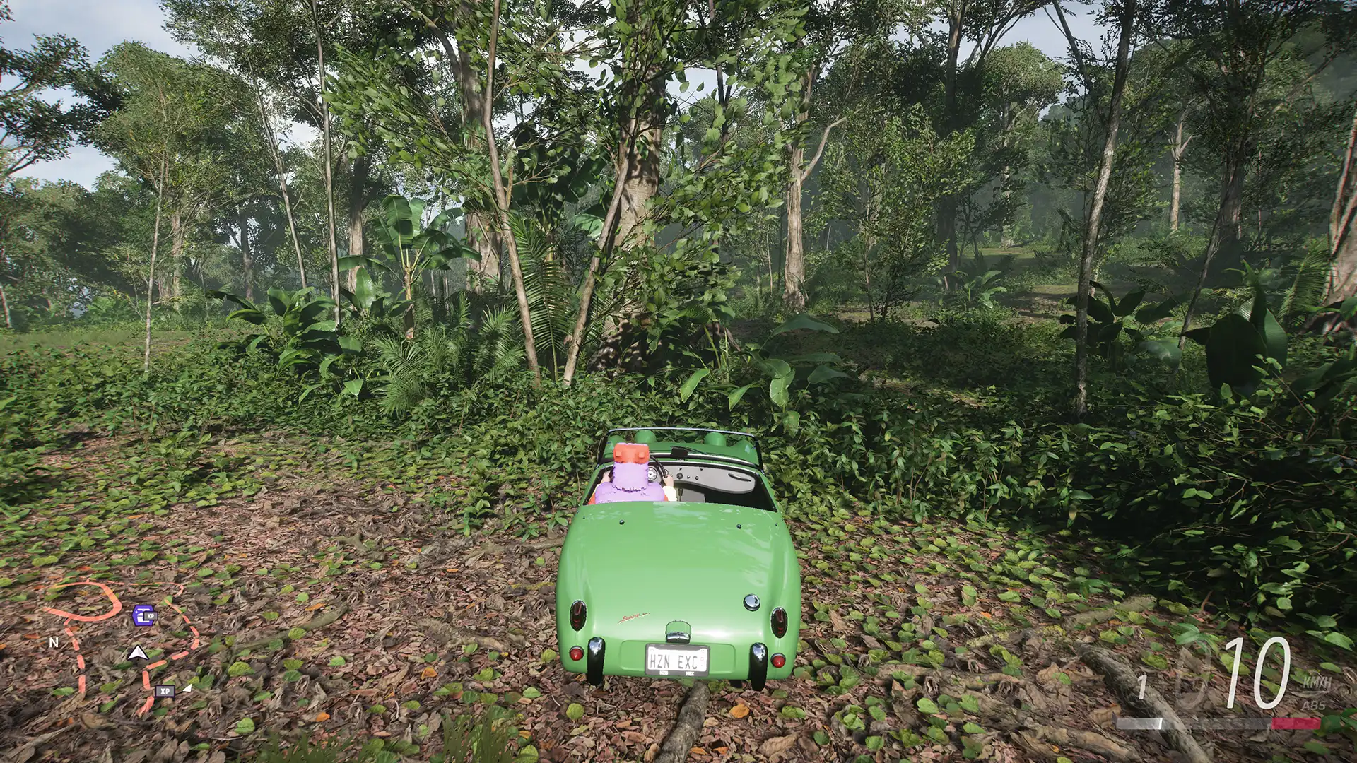 FH5 Frog in the Well Treasure Guide 2